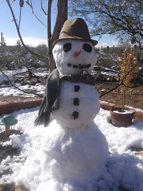 Snowman in Sahuarita